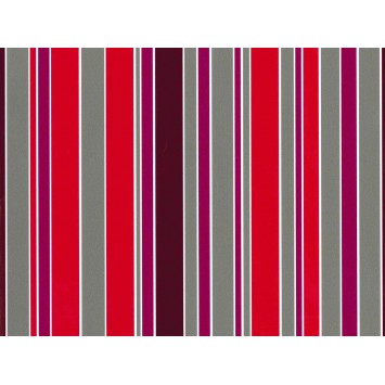 Everyday Premium Coated Gift Wrap R65401B